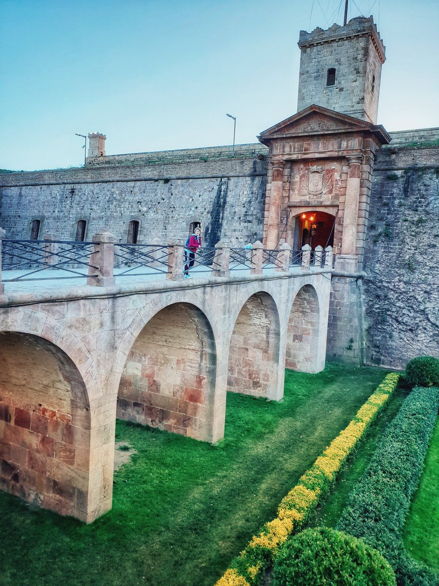 Vera Cires tweet media