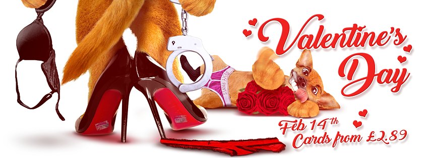 Puppies, my fab personalised Valentine's Day cards are now live! TheDogsDoodahs.com #saucy