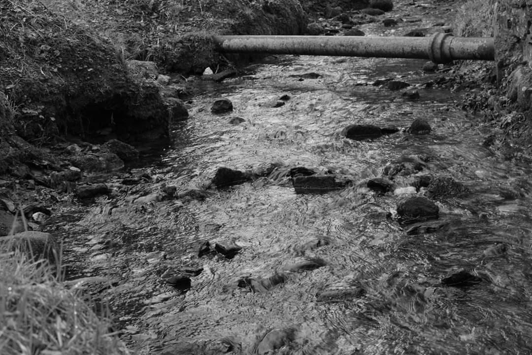 poppinolliev's tweet photo. Playing around with my camera taking black and white photos...really happy with the results!! #lovephotography #newcamera #canon650D #canon #outandabout #outsidephotography #eyeforashot #autism #autismawareness #abilitynotdisability #autismrocks #ihavemanytalents https://t.co/v2C2DeGjIK