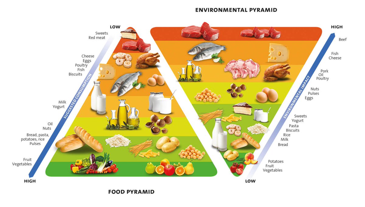 This Food &amp; Environment Pyramid maps with <a href="/TheLancet/">The Lancet</a> EAT Report which recommends less #meat 
barillacfn.com/en/disseminati…
@BarillaCFN <a href="/wellcometrust/">Wellcome</a> @waiterich <a href="/HarvardCCHANGE/">Harvard C-CHANGE</a> 
(Report explained here: npr.org/sections/thesa…)