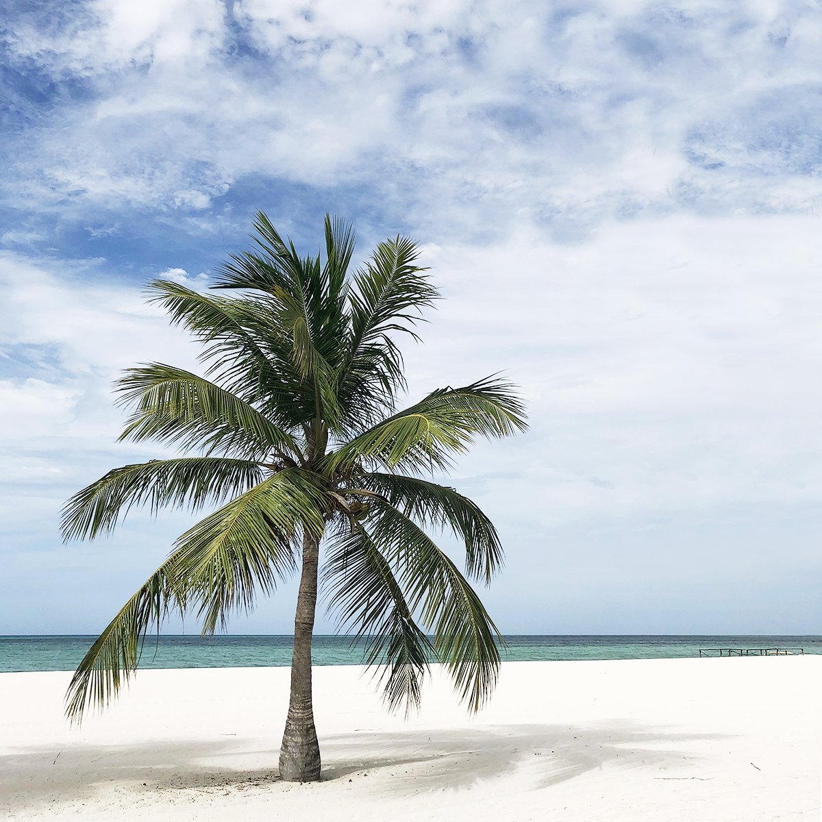 nurtnat's tweet photo. This is my #MondayMood right now...**sigh** #ilovethebeach #itssocoldhere https://t.co/Y5lCVMPrO5