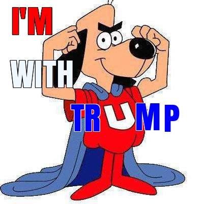 shootingstar864's tweet image. IFB 

I follow everyone back that follows me.

#MAGA
#AmericFirst
#BuildTheWall