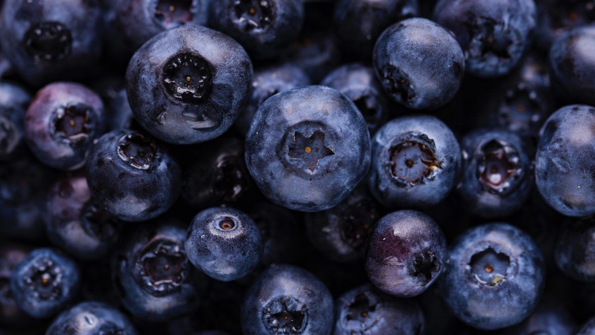 nutrition_facts's tweet photo. Blueberries can significantly improve cognitive performance within hours of consumption: https://t.co/3h2hDI1oNv https://t.co/pIft8Gebe2