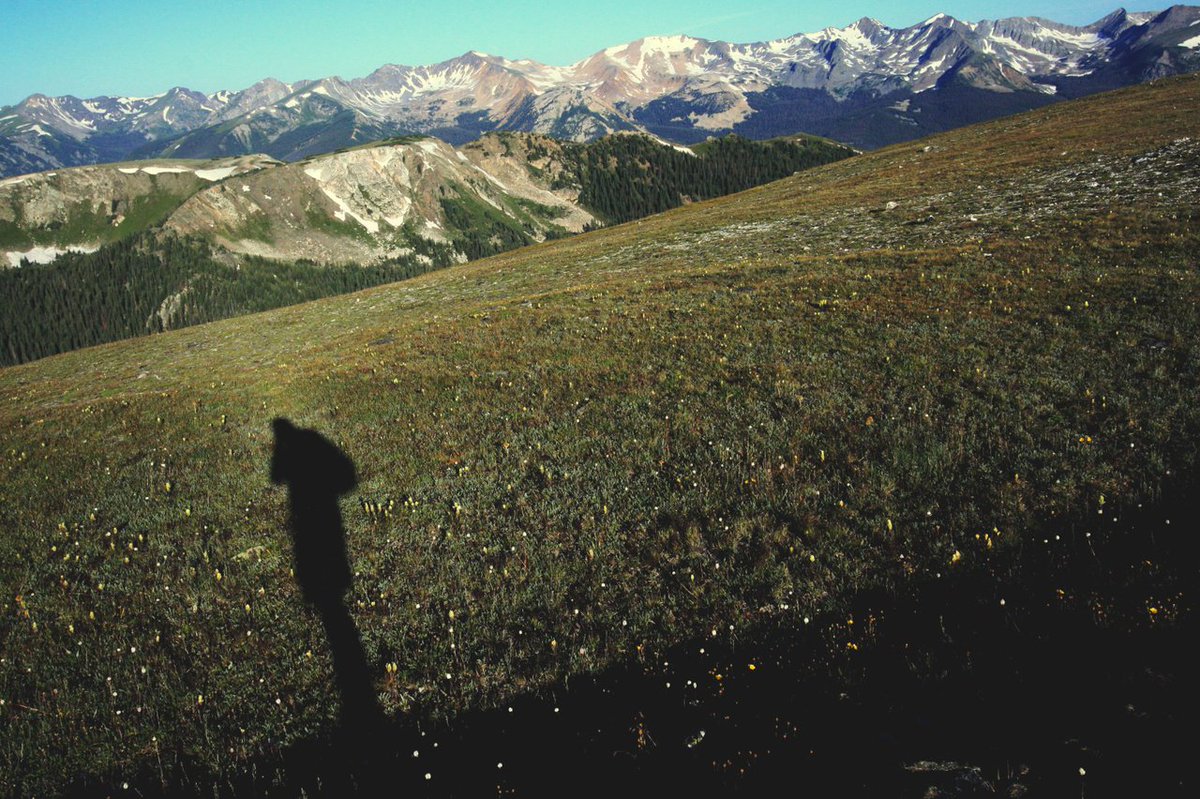 ShadowcliffMtn's tweet photo. Shadowcliff is a non-profit organization founded as a place of retreat and renewal in a busy world. Our mission is to be an eco-friendly mountain sanctuary where together we are creating a climate for a restorative world. https://t.co/8GUMP8b1VU #ShadowCliffMountainLodge https://t.co/YEewU11a4Q