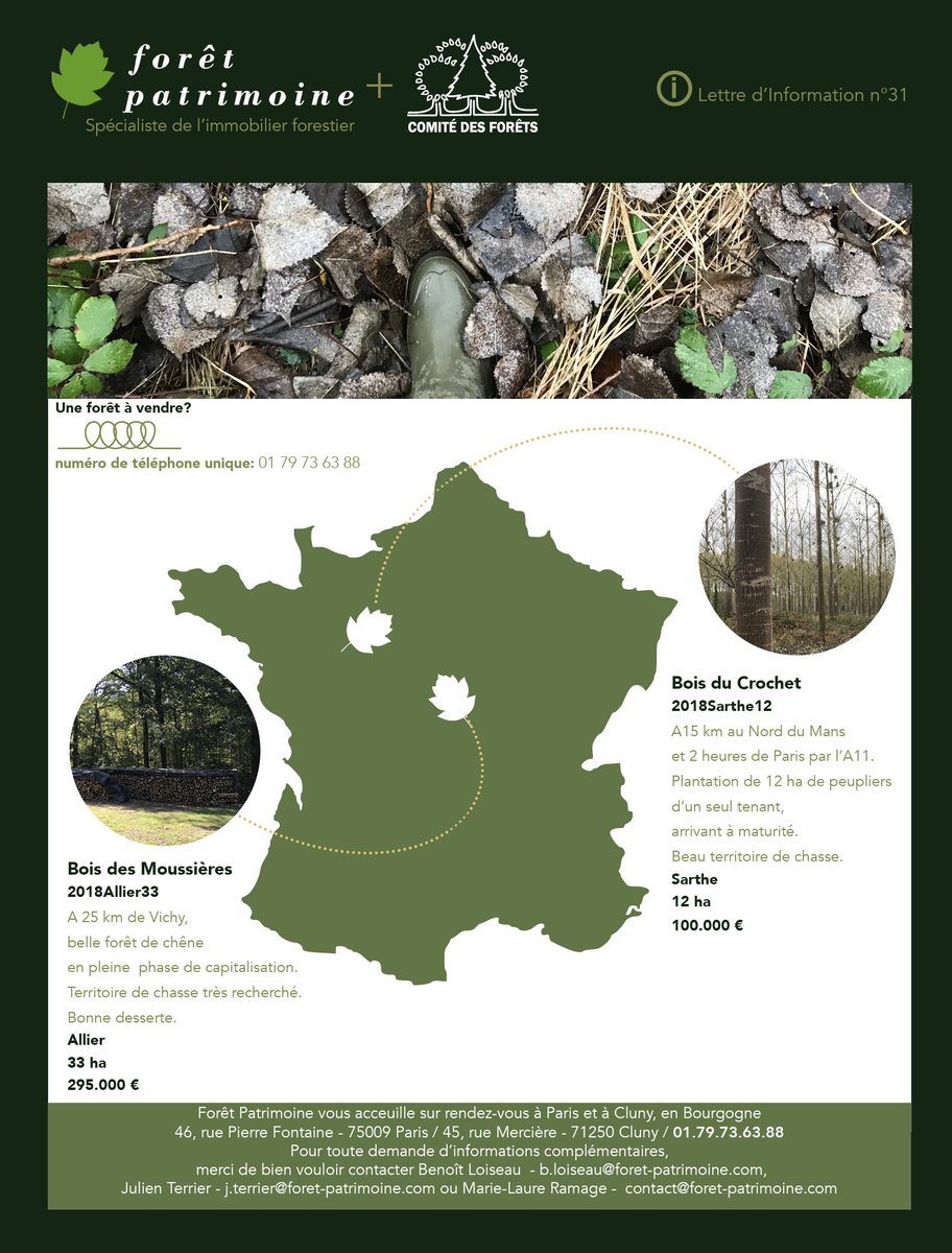 ForetPatrimoine's tweet photo. Forêt Patrimoine: Lettre d'information n°31 - https://t.co/TpAgNKGxoB
Il est encore temps de vous souhaiter une bonne année! https://t.co/6hSafEX9TC