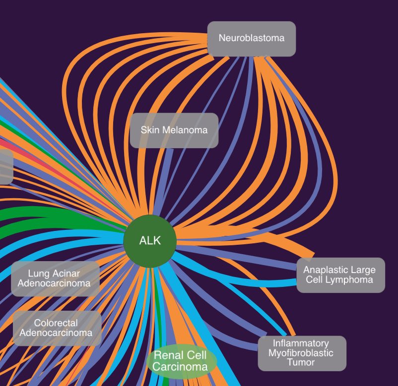 CIViCdb's tweet photo. Explore CIViC data in @NDExProject! NDEx's public forum now integrates #CIViCdb data into their open-source commons. Easily view relationships between variants, drugs, and diseases in NDEx's online graph viewer. https://t.co/CCrfqtPjjl https://t.co/cuNbCFBvTG