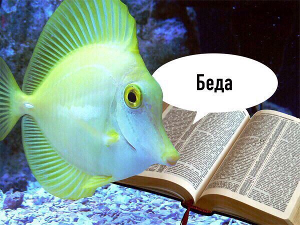 ann_voe's tweet photo. @aldzernonk https://t.co/5B9qUY8lCn