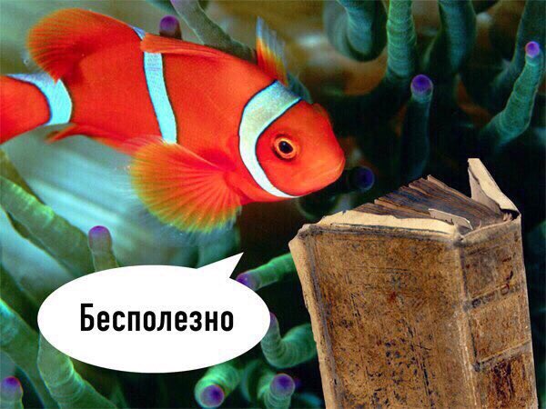 ann_voe's tweet photo. @aldzernonk https://t.co/5B9qUY8lCn