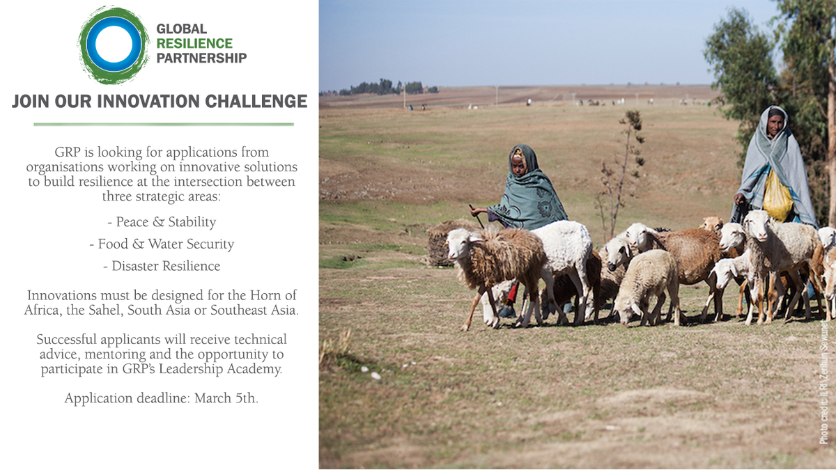 grp_resilience's tweet photo. The GRP Innovation Challenge is open for applications! Winners receive mentorship for projects on #food &amp; #watersecurity, #peace &amp; stability, and #disaster #resilience. Apply now before Mar 5th: https://t.co/RdC3OQUXQY … https://t.co/FbJAfSiqwR