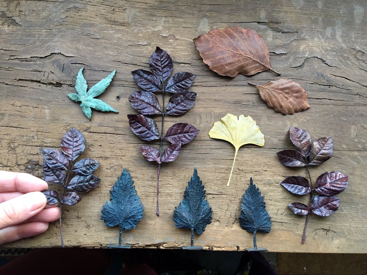 Bronze Leaf Subscription
-
Be amongst the first to hear when we launch this service. More info:
eepurl.com/gdeWu1