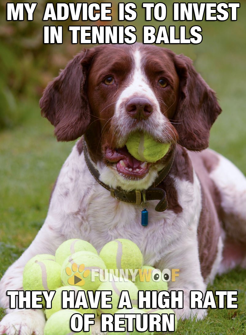 The_Mafia_Boss's tweet image. Lets do it

#tennisball

#rateofreturn
#tmbhitman