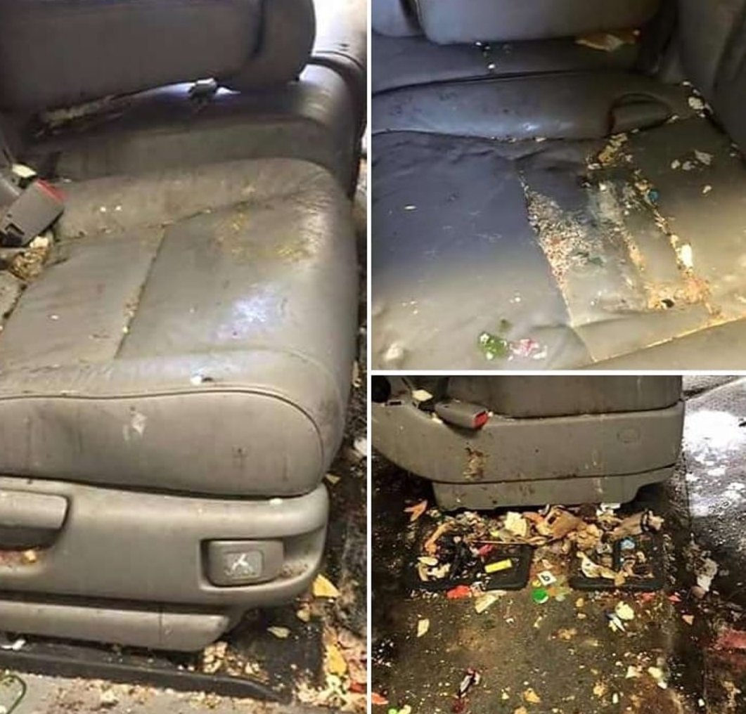 tnt_sr15b's tweet image. cleaned my car! here&apos;s the after picture