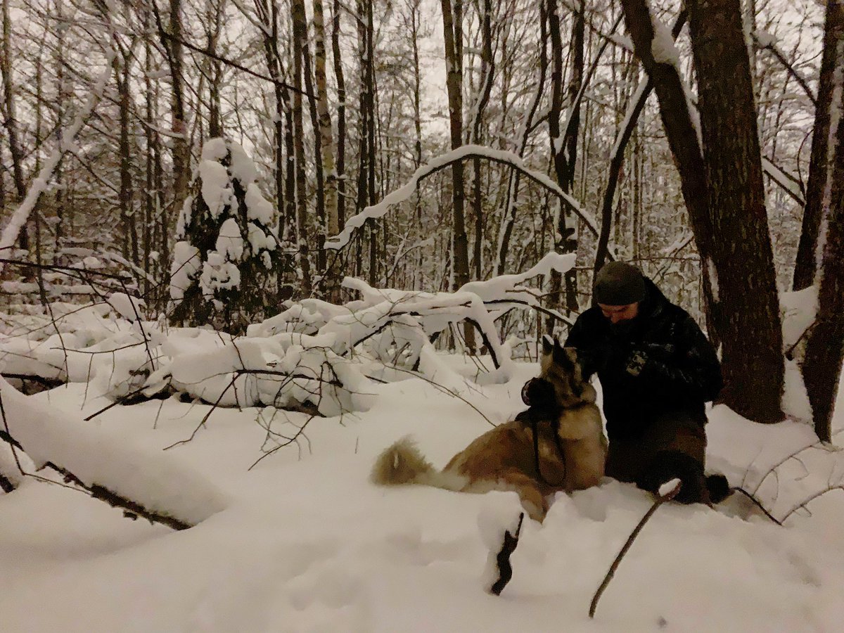 Meidän lempipuuhia työpäivän jälkeen. Pitkiä kävelylenkkejä lumisessa metsässä. 👣🐶❄️🌲 #talvi