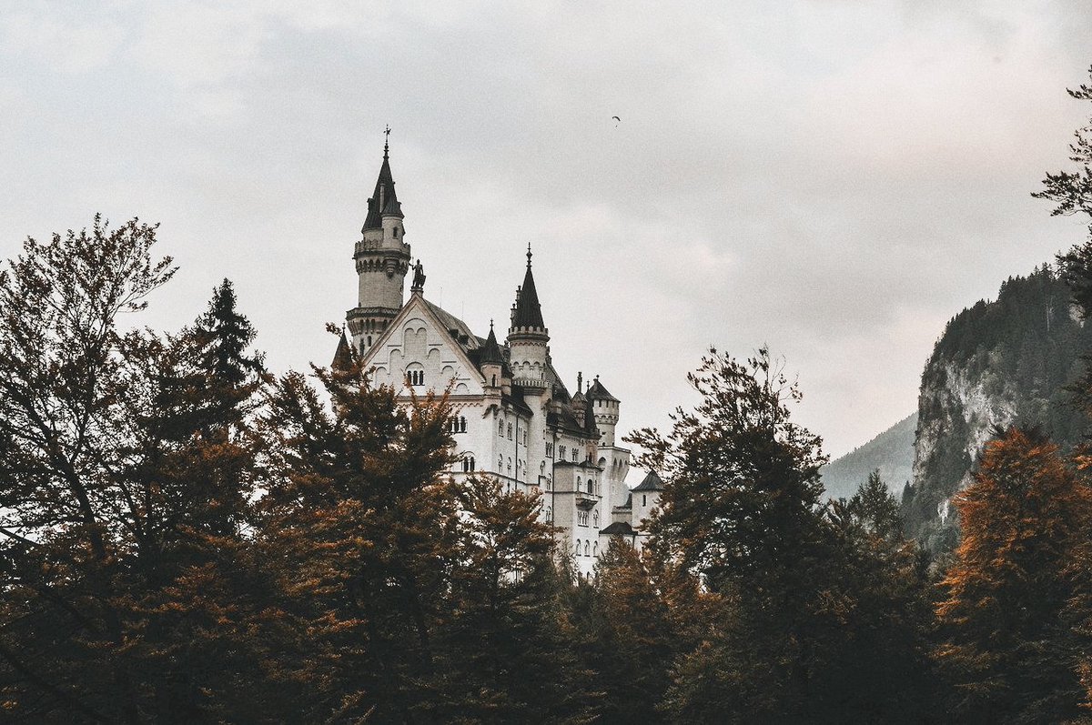 ginnyout's tweet photo. ㅤㅤ❑ ⋮ 𝐌𝐎𝐍𝐎𝐑𝐎𝐋; @amapolaslvestre.

❝ ━Every great wizard in history has started out as nothing more than what we are now. Students. If they can do it, why not us? ❞

ㅤㅤ˹ 𝙳𝚄𝙼𝙱𝙻𝙴𝙳𝙾𝚁𝙴'𝚂 𝙰𝚁𝙼𝚈, 𝟷𝟿𝟿𝟻 ˼ https://t.co/9rgqyxfQ3z