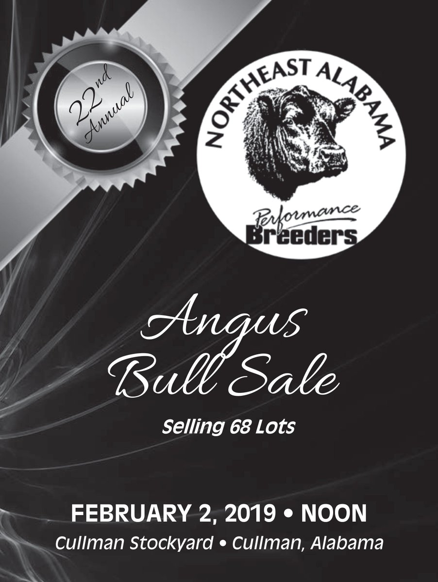 albauction's tweet photo. Northeast Alabama Performance Breeders Angus Bull Sale this Saturday in Cullman, AL - 
View Sale Book: https://t.co/HaSKeCnGO2 https://t.co/ShT5Czn4SO