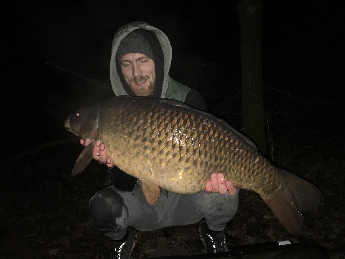 Tommy Morrison tweet media