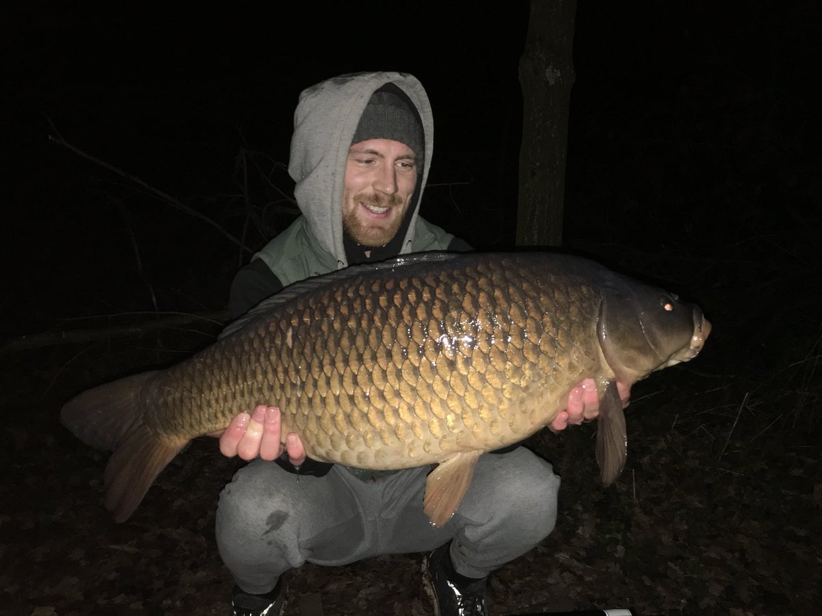 Tommy Morrison tweet media