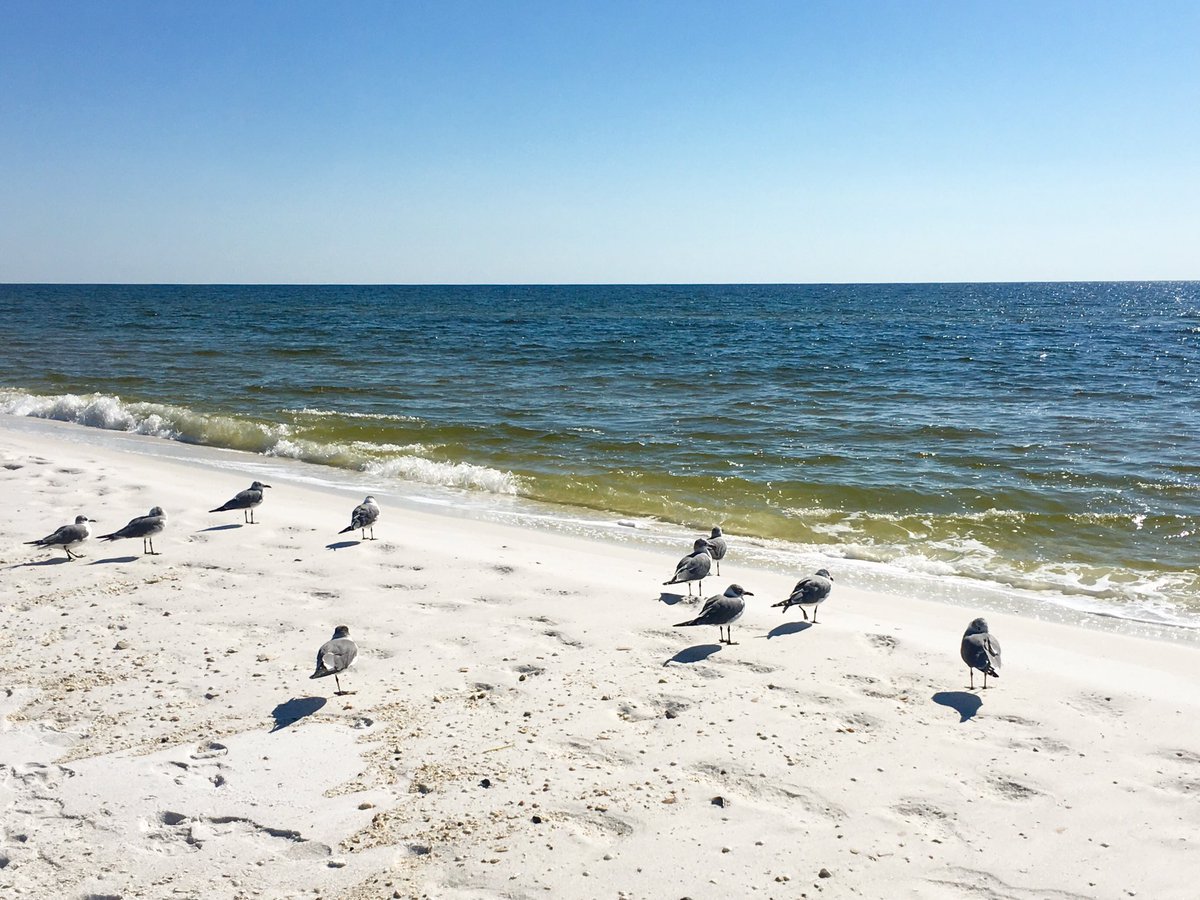 SheriHarper1's tweet photo. @CaseyJ_WOODTV Yep nice here in Florida!! https://t.co/LR18A1dZBB