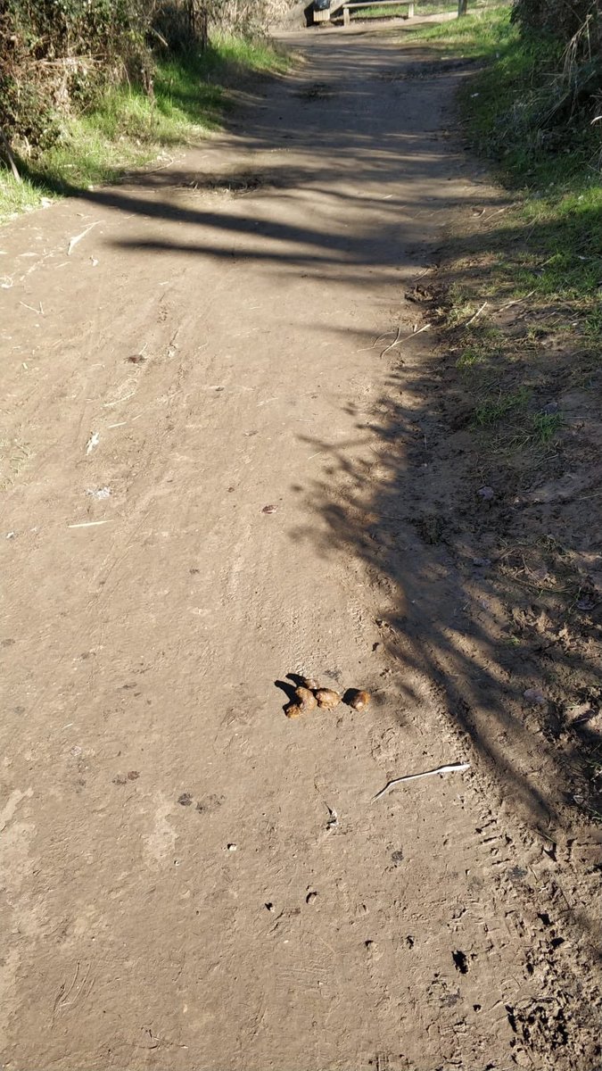 Realitzant el projecte “Green Mitjana”, fem la següent...
FOTO DENÚNCIA!
<a href="/lamitjanalleida/">La Mitjana de Lleida</a> <a href="/paerialleida/">Ajuntament de Lleida</a> <a href="/lleidaenverd/">Lleida en verd</a>