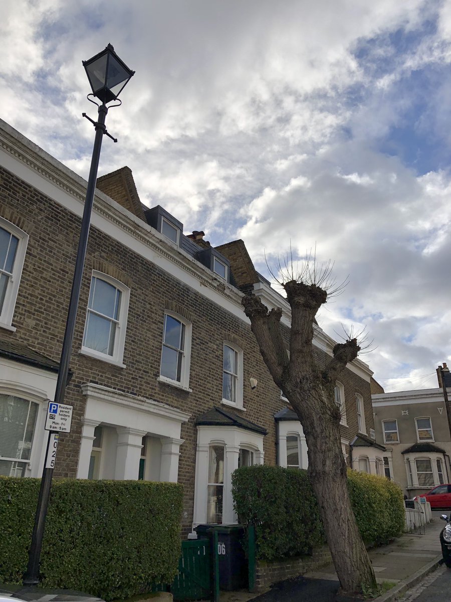 I’m stumped.... some beautiful streets around St Johns #se8
🎰
#friendlygardens #deptford #brockley #brockleymarket #newcross #greenwich #lewisham #selondon #southeastlondon #lovenewcross #stjohns #stjohnswort #albyn #stump #stumpy #londonwinter #freshday #oldlondon #reallondon