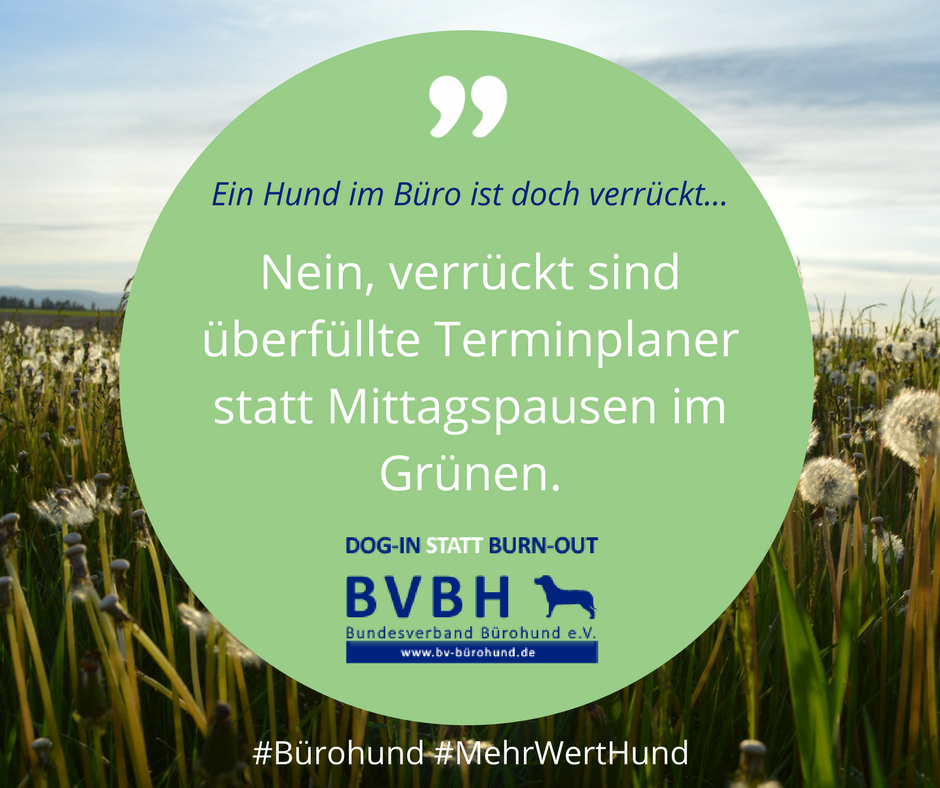 BV_Buerohund's tweet photo. Ist ein #Bürohund wirklich verrückt?
Wir begleiten unsere Mitglieder bei der zielführenden Integration: https://t.co/DyXCnP6cmt
#Mittagspause #Bewegung #Terminplaner #Bürohund #MehrWertHund #NewWork #Recruiting https://t.co/RlBwUI3DBH