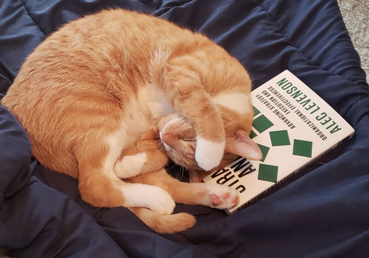 Timmie is slumbering peacefully after reading Part 1 of this fabulous book by @alec_levenson #strategicanalytics is a team sport