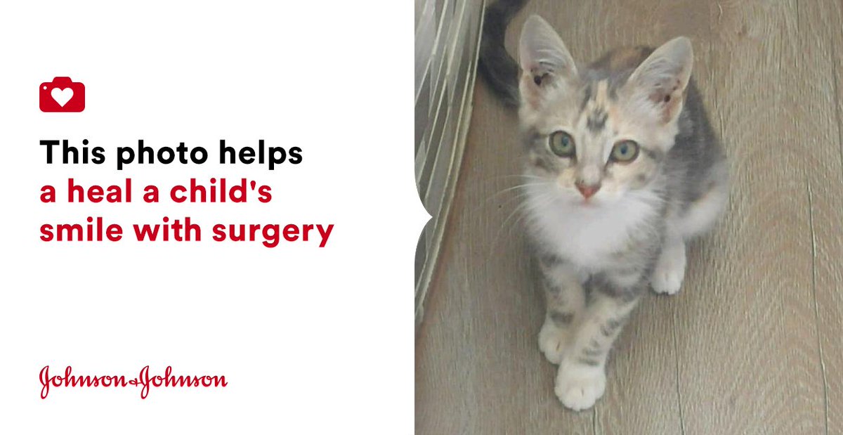 dakari26's tweet photo. She's finally coming out of her shell #approvesofnewslaves #babyLeia #jnj @donateaphoto https://t.co/Y1fyiABXZD https://t.co/S4E1L3UMPM