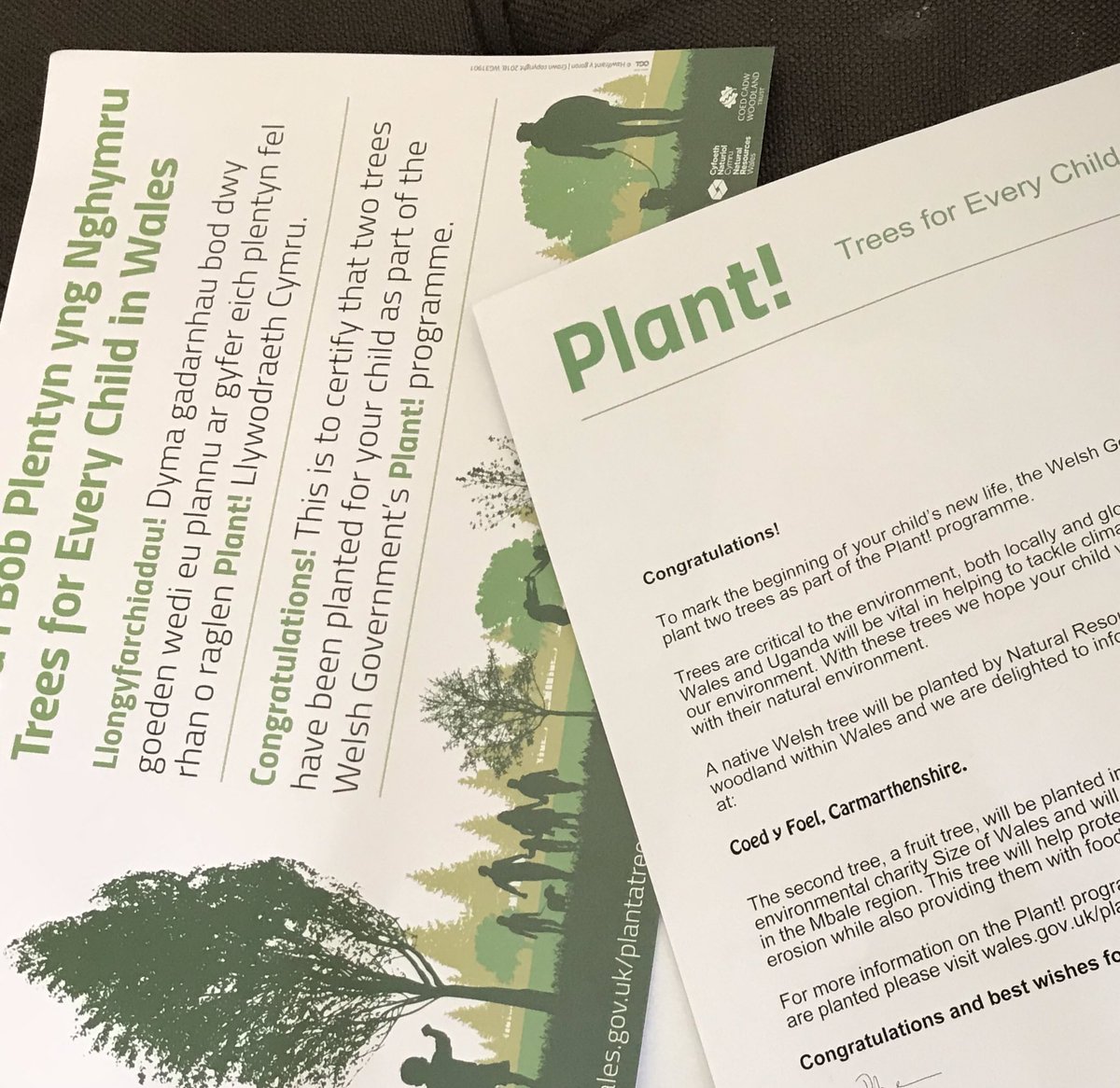 lydiamorgan40's tweet photo. When the Welsh Government plant 2 trees on the birth of your child but notify you by posting letters printed with coloured ink.. 🙄🙄🙄 so disconnected! #justemail #greenplanet https://t.co/C0KEwy8lOj