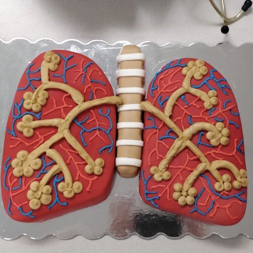 kidney_boy's tweet photo. Lung cake by the ICU residents https://t.co/nSBMpMvsuh