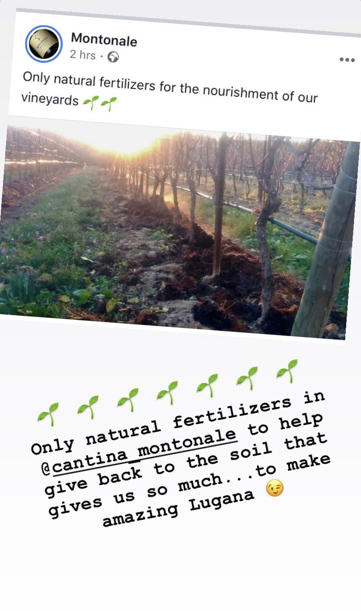 It doesn’t get more natural than this... 

Nothing but natural fertilizers are used to revive and replenish the vineyards of our partners @montonale in Lugana 

Making amazing wines ... 😉