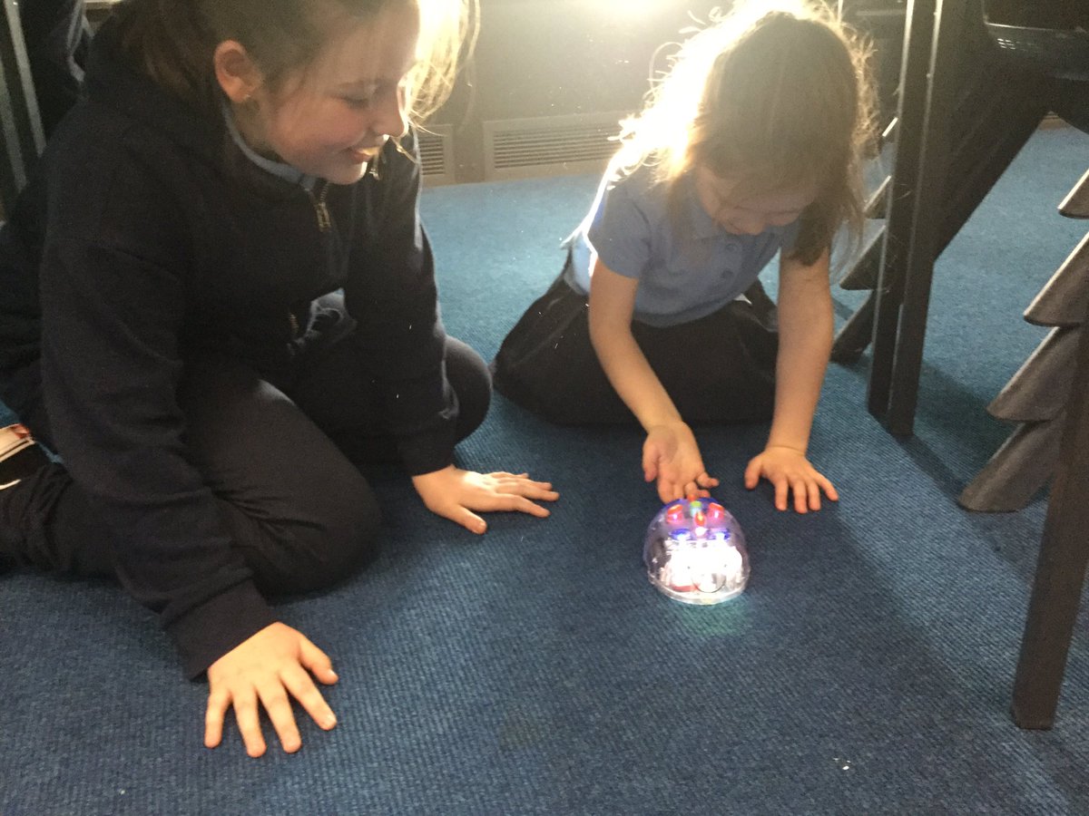 SgoilBalivanich's tweet photo. Buddies helped younger pupils with their Bee-Bot programming today. BlueBot was an instant hit with his see through case! @Schools_Digital #technology #buddies #digitalliteracy #beebotfun https://t.co/QnrrrUCyNJ