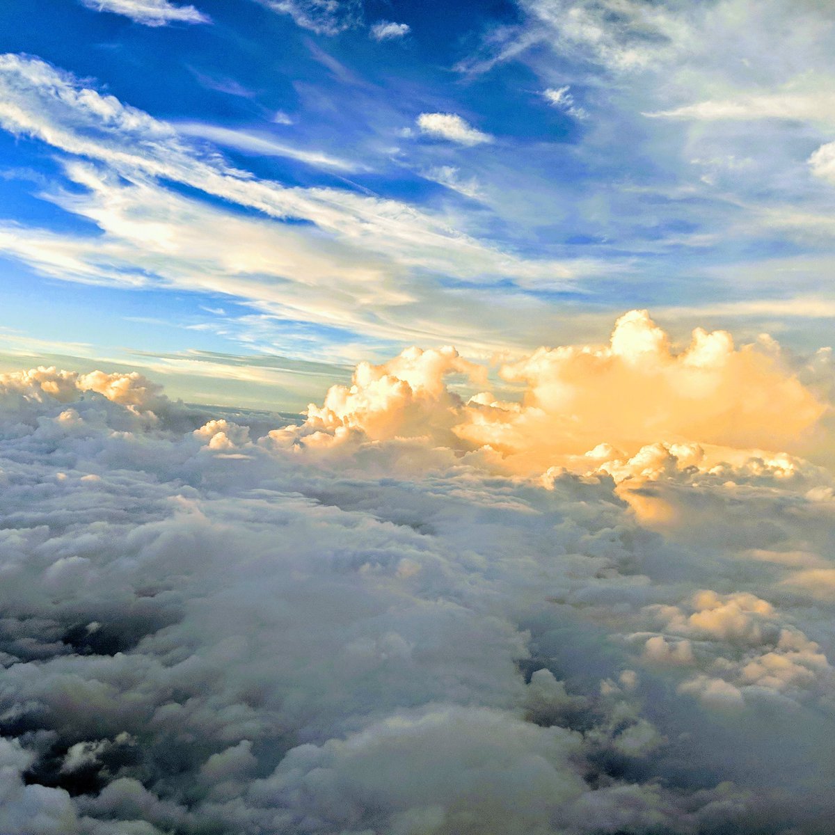 LibrlCapitalist's tweet photo. @LunaLuvgood2017 Taken on a flight from Baltimore to Boston! https://t.co/dskxZS1Lxc