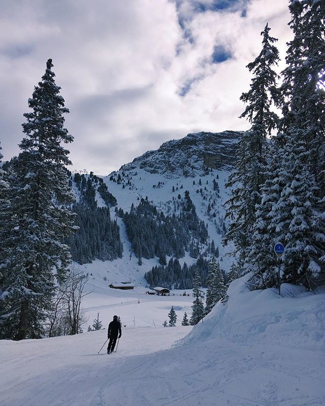 juliafters's tweet photo. Je n’y suis pas mais on m’en fait prendre plein les mirettes, la montagne a jamais trop été pour moi mais les paysages commencent à bien me plaire ❄️⛄️
•
#meribel #3vallees #savoiemontblanc #mloat #rhonealpestourisme #rhonealpes #igersfrance #ig_fran… https://t.co/e2P7gDb6gR https://t.co/7euOg3aGQL