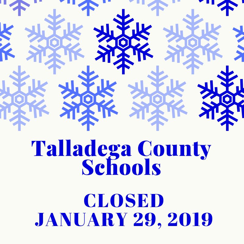 Brooke Morgan tweet media