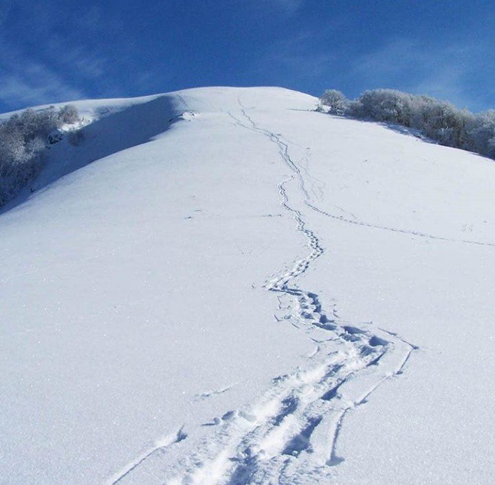 Geographymunic1's tweet photo. Zelengora, Bosna i Hercegovina.
#mountain🏔️⛰️🗻 #Zelengora #iovojeBosnaiHercegovina #winter #everythingiswhite #homeland #nature #beautifulview #magicBiH #tourists #travel
A.L VII-3 https://t.co/y90aMk3kjV