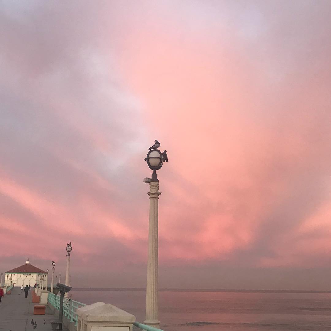 Andreawolfecali's tweet photo. Happy new week!🦋🌊🌹💞🦋 https://t.co/0x7KSiD4gy