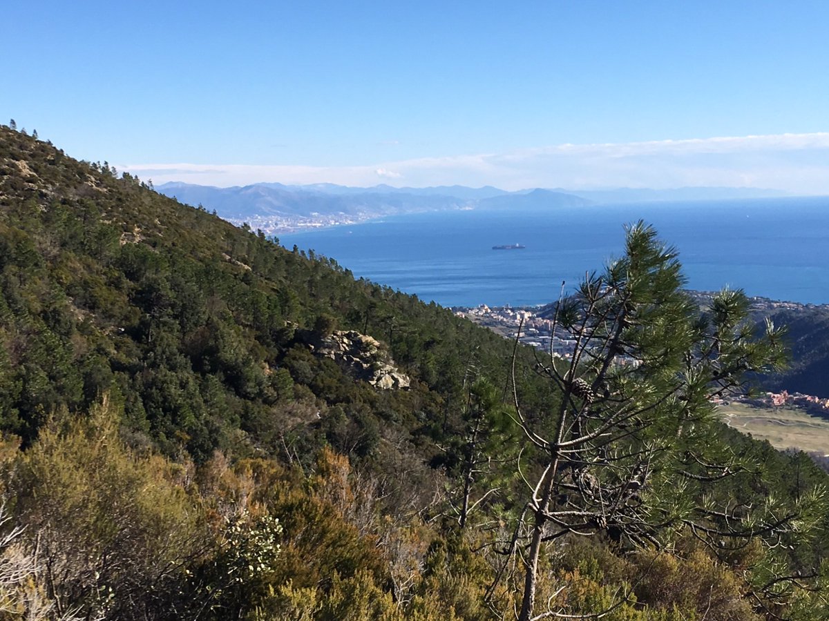 TopogArt's tweet photo. #Sciarborasca near #Cogoleto @ParcoBeigua @TurismoLiguria successful identification of viewpoint of Club Alpino Italiano @CAILigure photograph taken on 26 March 1899 https://t.co/KiYsLOomP2