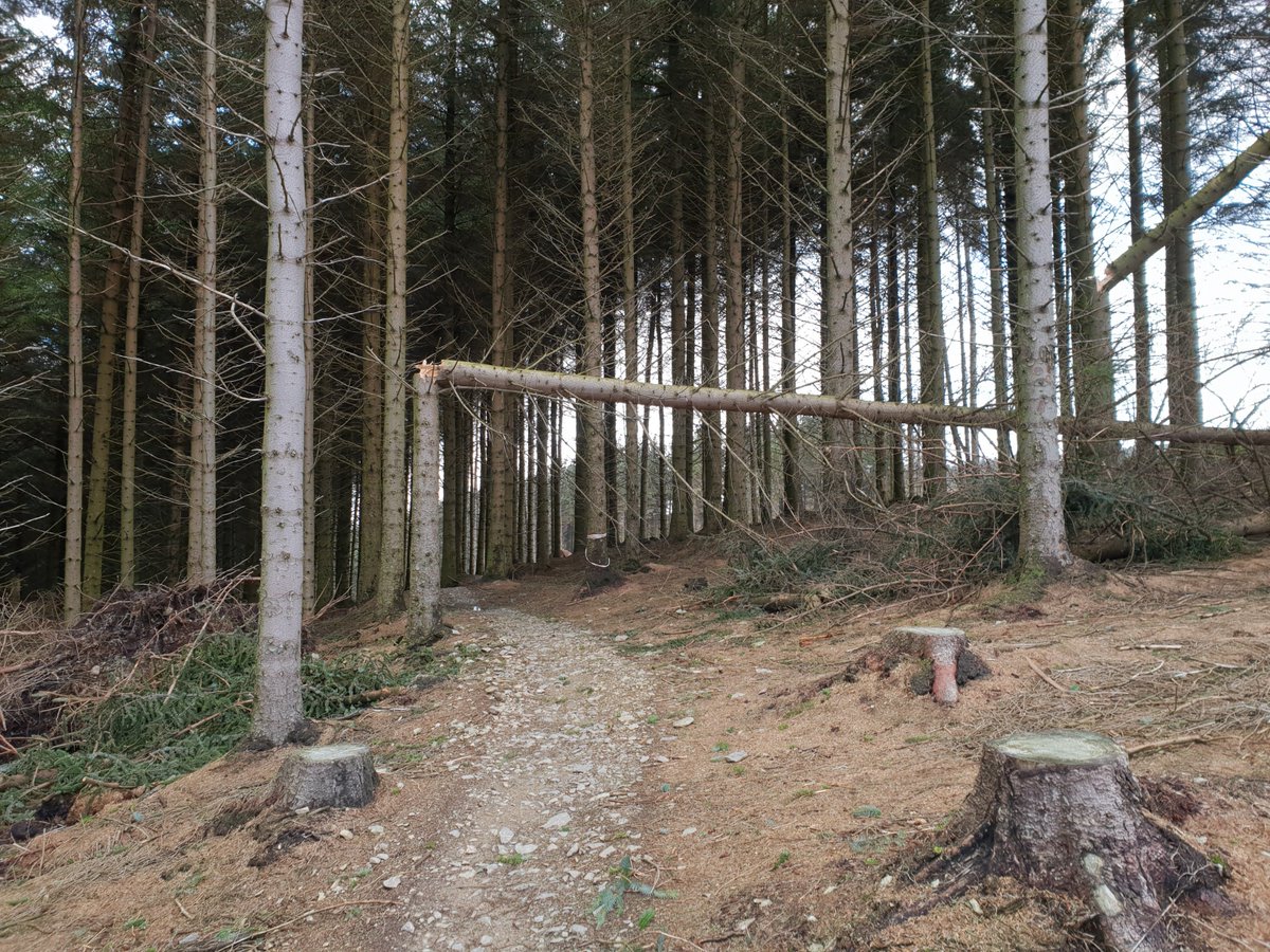 Oneplanet Adventure tweet media