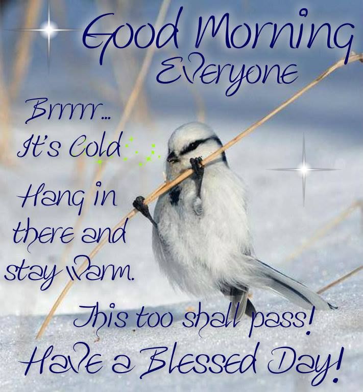 cnel1188's tweet photo. Even though it's not morning, this definitely still applies. Stay warm @CultivateACCESS https://t.co/5wUtHA4WFd
