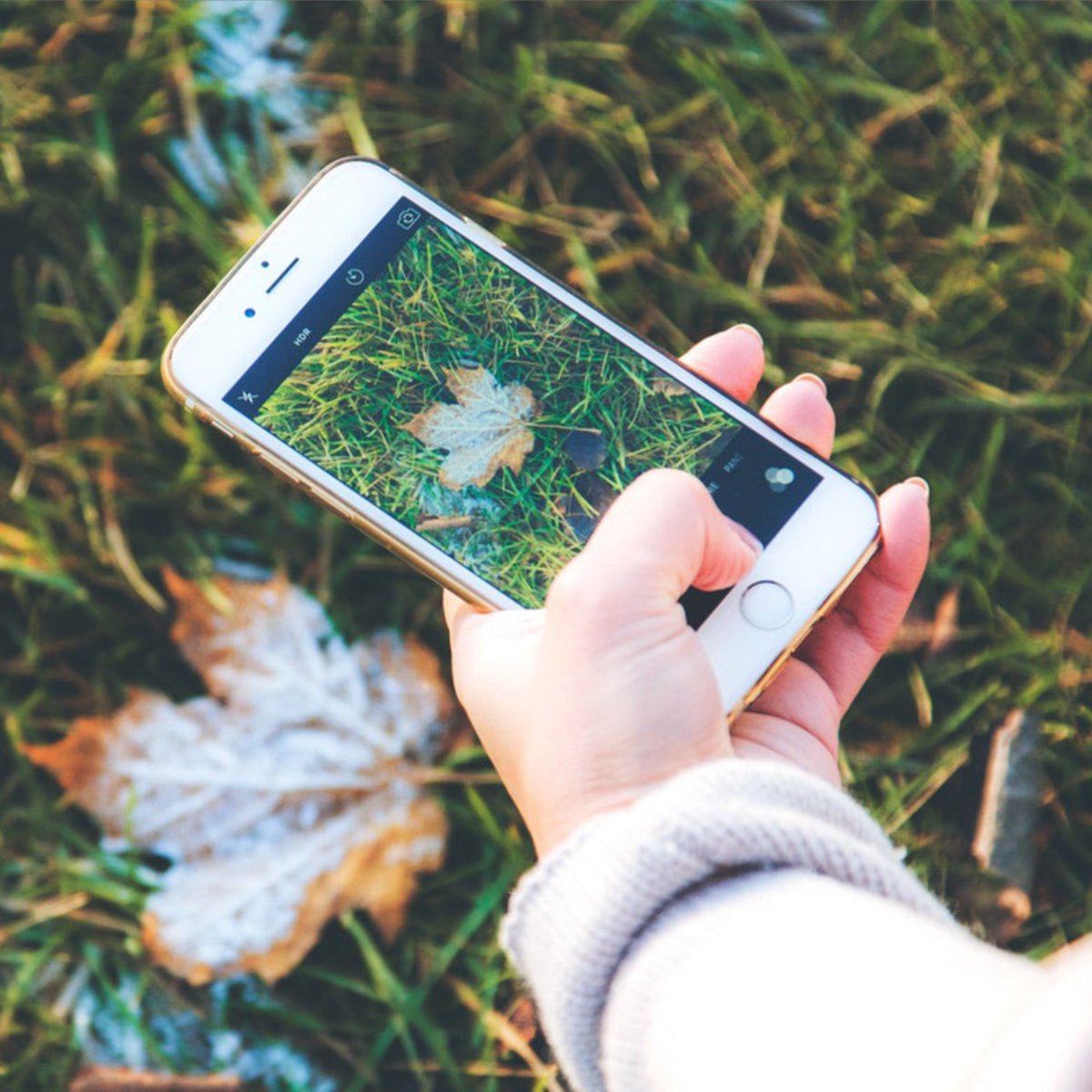 MazamaMedia's tweet photo. Don't ignore Instagram! Here is an interesting article about why it;s such a great marketing platform! 
https://t.co/dCRpwS10AM https://t.co/04EnYdr78s