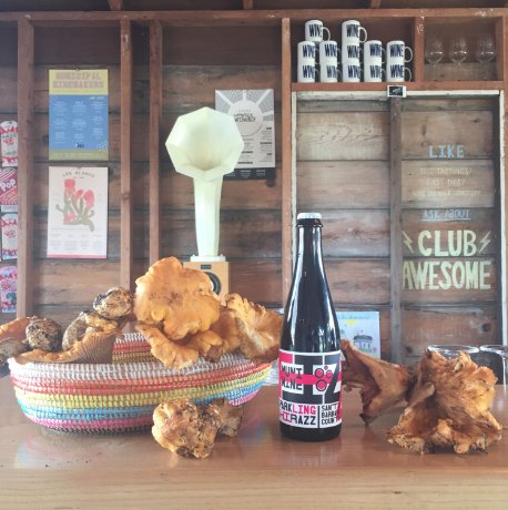 A little glimpse of this past weekend! 🤠 🤠 Mushroom festival in Los Alamos! Look at those suckers!! 🍄 🍄 🍄 🍄