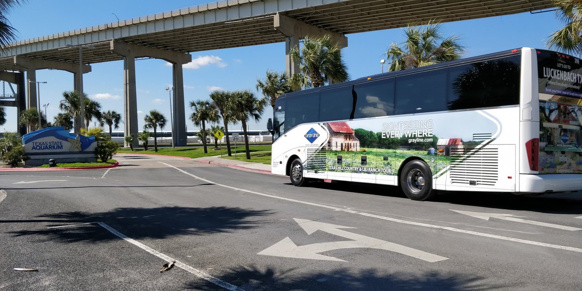 Star Shuttle Inc. tweet media