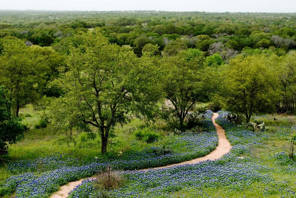 Have you thought about your spring break plans yet?  Spend them surround by beauty!  #bluebonnets call 512-268-1617