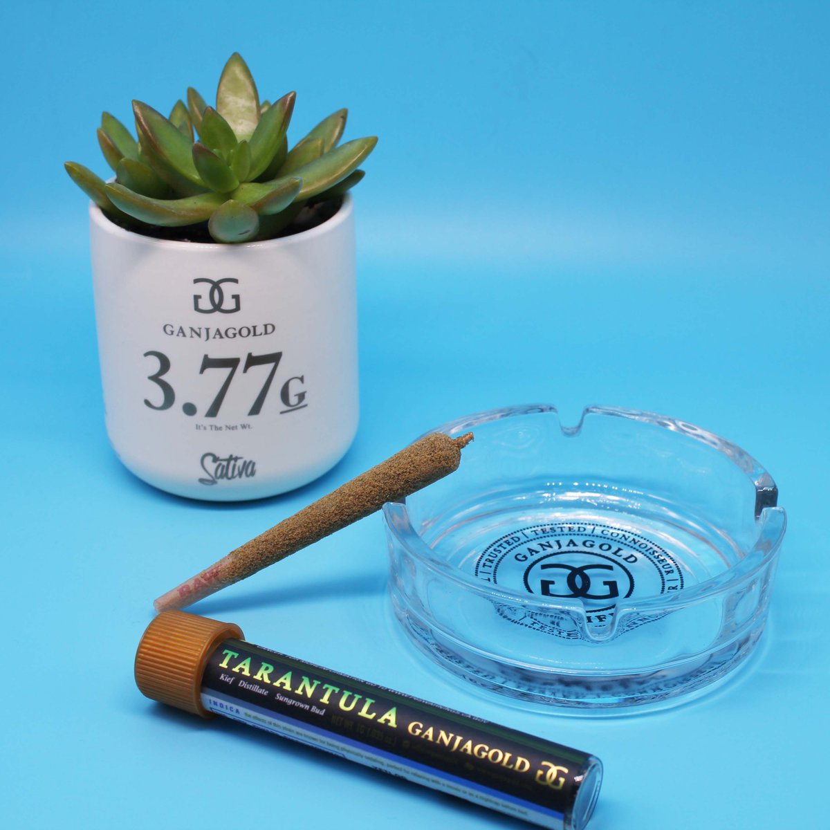 Mood: Poolside chillin 💦
.
.
#ganjagold #tarantula #mood #chillin #infusedpreroll #cannabis #marijuana #california 
.
.
GanjaGold™️ is a manufacturer of cannabis products, License # CDPH- T00001197 legally manufactured in CA. For adults 21+, not for sale