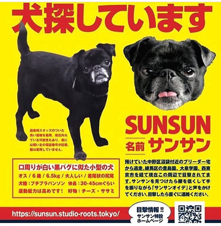 Y San 迷子犬情報 迷子犬 黒パグ 預け先の東京都中野区沼袋ブリーダー宅から逃げてしまい迷子になっています 9ヶ月が経ちました 誰かが保護されて飼っているかも知れません 保護してる方を知りませんか 拡散して多くの方に知って頂きたいです Y San 迷子犬情報 迷子犬 黒パグ 預け先の東京都中野区沼袋ブリーダー宅から逃げてしまい迷子になっています 9ヶ月が経ちました 誰かが保護されて飼っているかも知れません 保護してる方を知りませんか 拡散して多くの方に知って頂きたいです