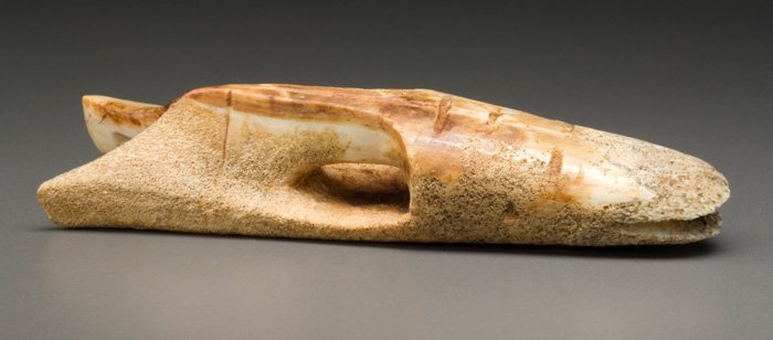 CanMusHistory's tweet photo. #Explorethecollection
This harpoon head features a human face. It was carved 1,200 to 2,000 years ago in antler or ivory by the Dorset people.
CMH, NhHd-1: 2658, IMG2008-0583-0110-Dm
#canhistory https://t.co/egpkws3rDn