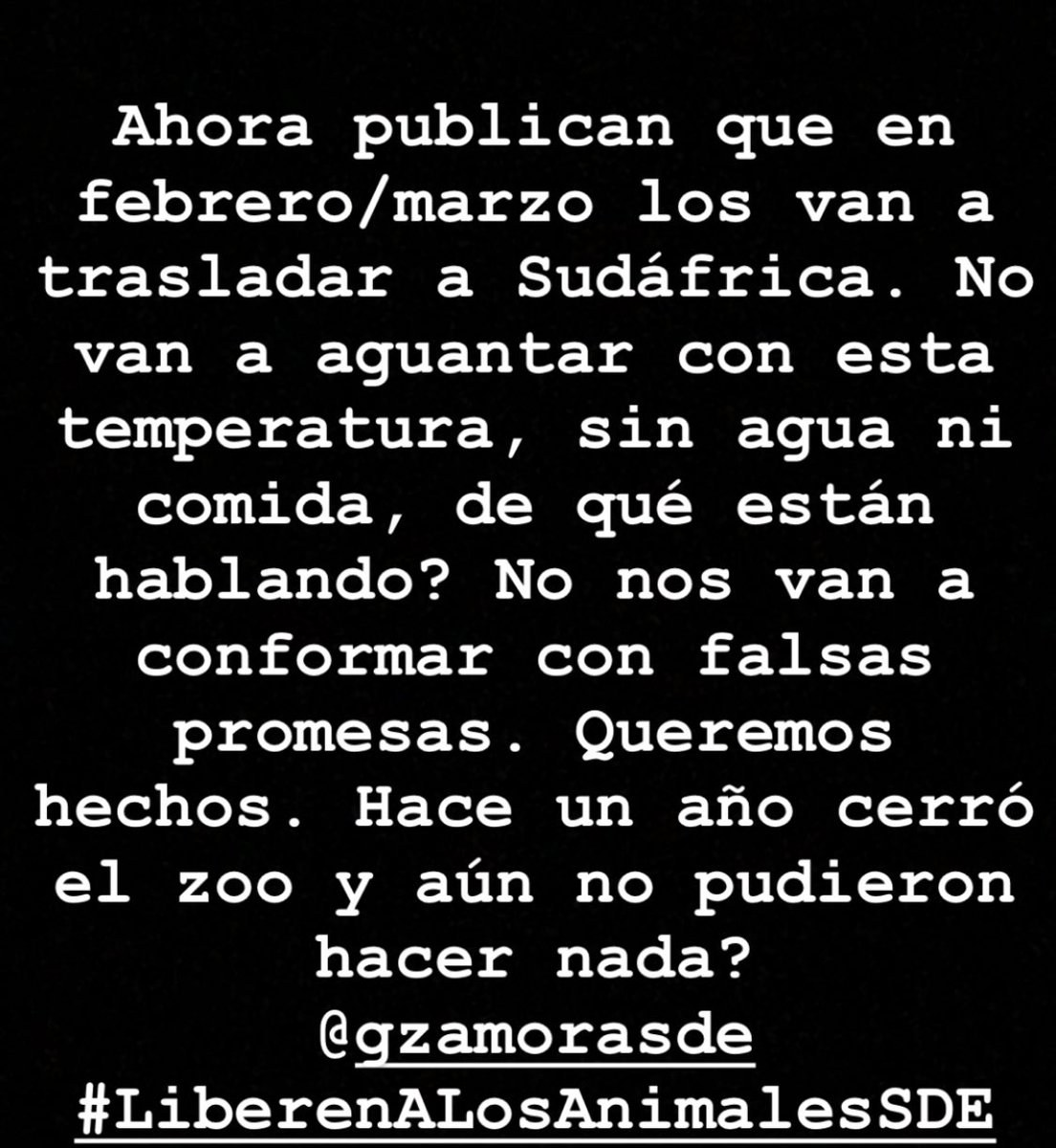 China Suarez ♛ tweet media
