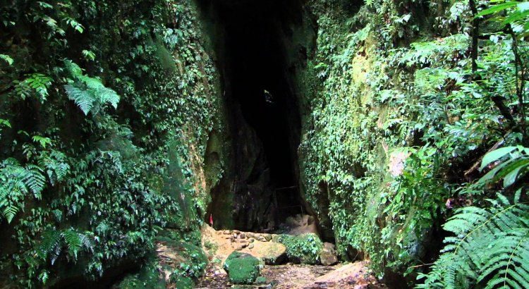 Visit_Bolivia's tweet photo. #Experiencias #aventura #paisajes #Bolivia #turismo #responsable #paisajes #cultura #VisitBolivia #amoviajar #conocelugaresnuevos #amomipaís #naturaleza  #parquenacionalcarrasco https://t.co/uMqkxw4DDn