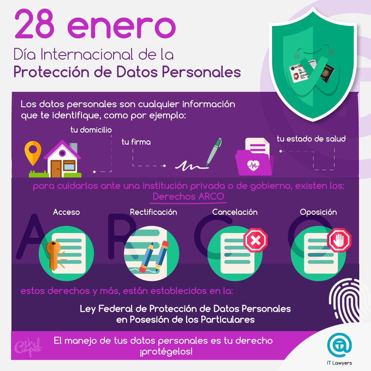 Ivonne Muñoz Torres tweet media