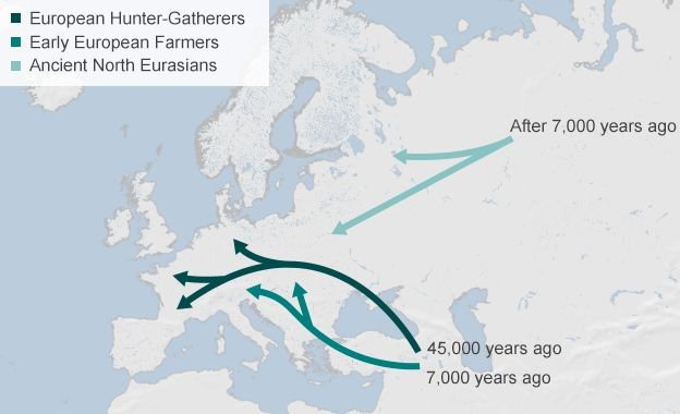 More about the European Hunter Gatherers and the 'tri-racial' ("three tribes" as the BBC calls them) of Europe: EHG, Indo-European and Central Asian. See posts above.  https://www.bbc.com/news/science-environment-29213892